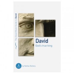 David (The Good Book Guide)