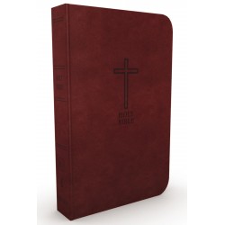 KJV Thinline Bible/Large...