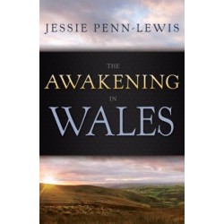 eBook-Awakening In Wales