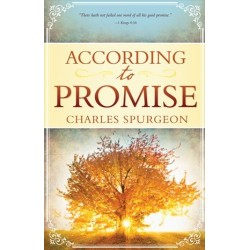 eBook-According To Promise