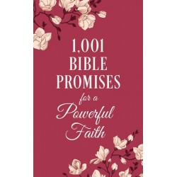 1001 Bible Promises For A...