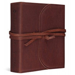 ESV Journaling Bible-Brown...