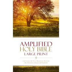 Amplified Holy Bible/Large...