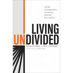 Living Undivided