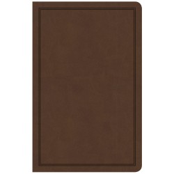 CSB Deluxe Gift Bible-Brown...