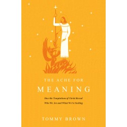 The Ache For Meaning