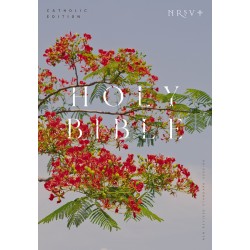 NRSV Catholic Edition Bible...