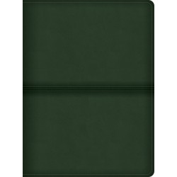 CSB Men's Daily Bible-Olive...