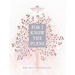 For I Know The Plans