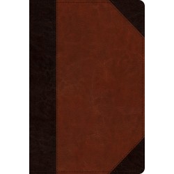 ESV Wide Margin Reference...